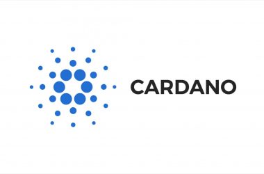 Fehler bei Cardano